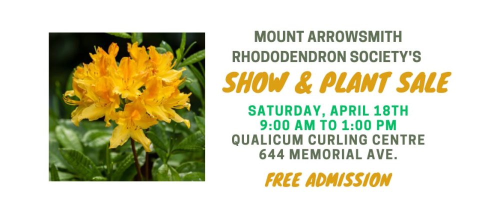 Rhododendron Show & Sale